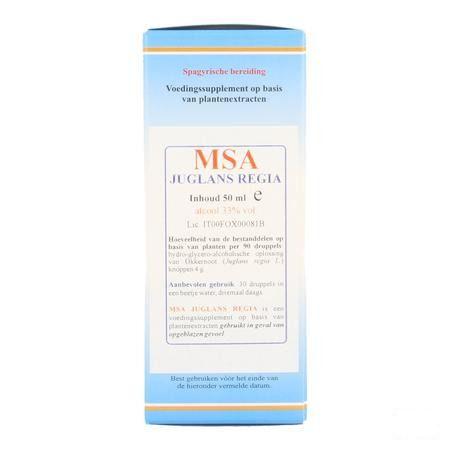 Juglans Regia Msa Maceraat Druppels 50 ml  -  Herboplanet