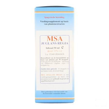 Juglans Regia Msa Maceraat Druppels 50 ml  -  Herboplanet