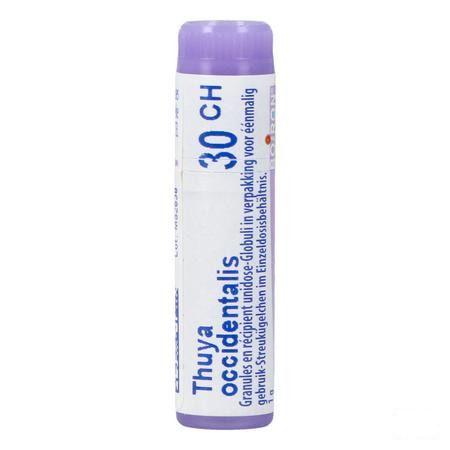 Thuya Occidentalis 30CH Gl  -  Boiron