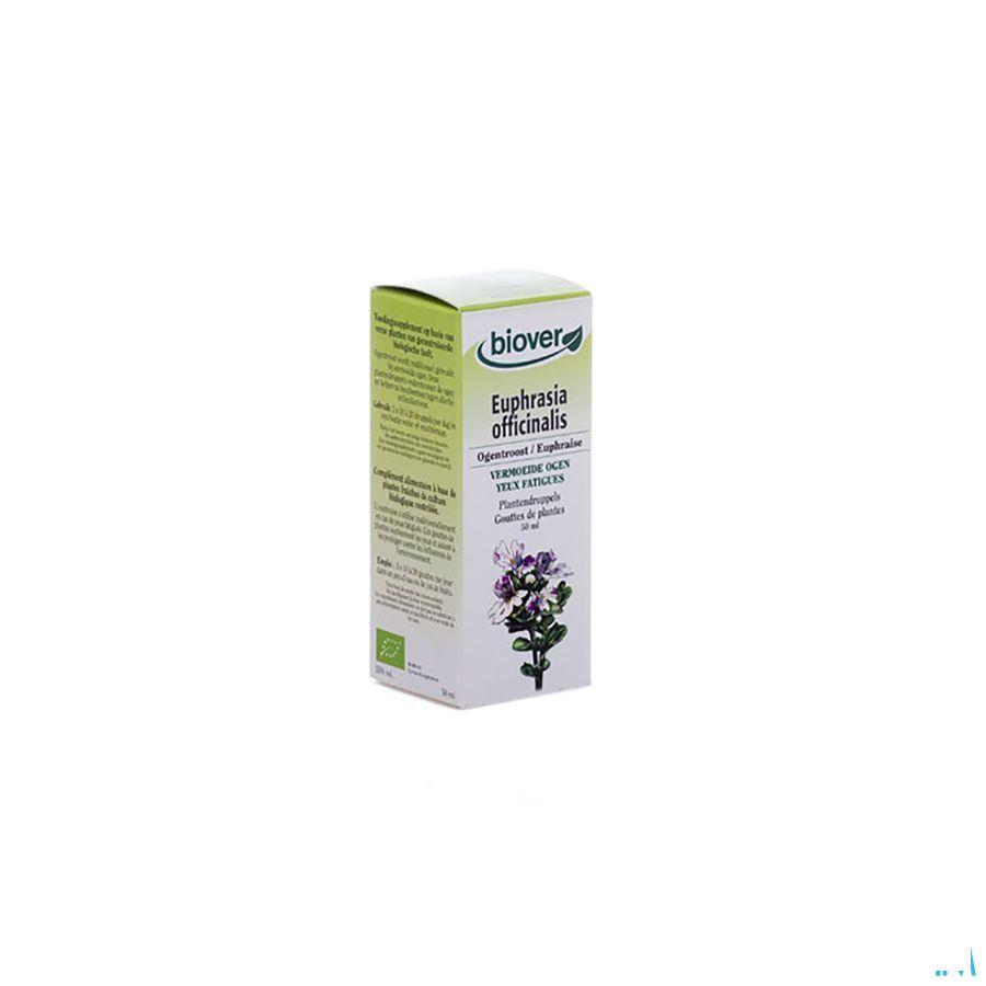 Ogentroost Teinture 50 ml   -  Ocebio
