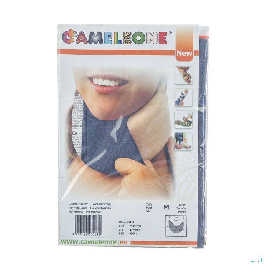 Cameleone Minerve Gris M 1 Q05001  -  Covarmed