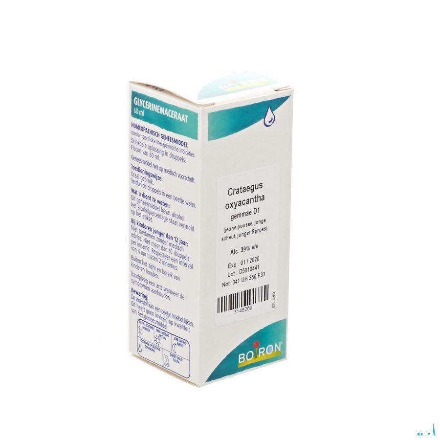 Crataegus Oxyacantha Gemmo D1 60 ml  -  Boiron