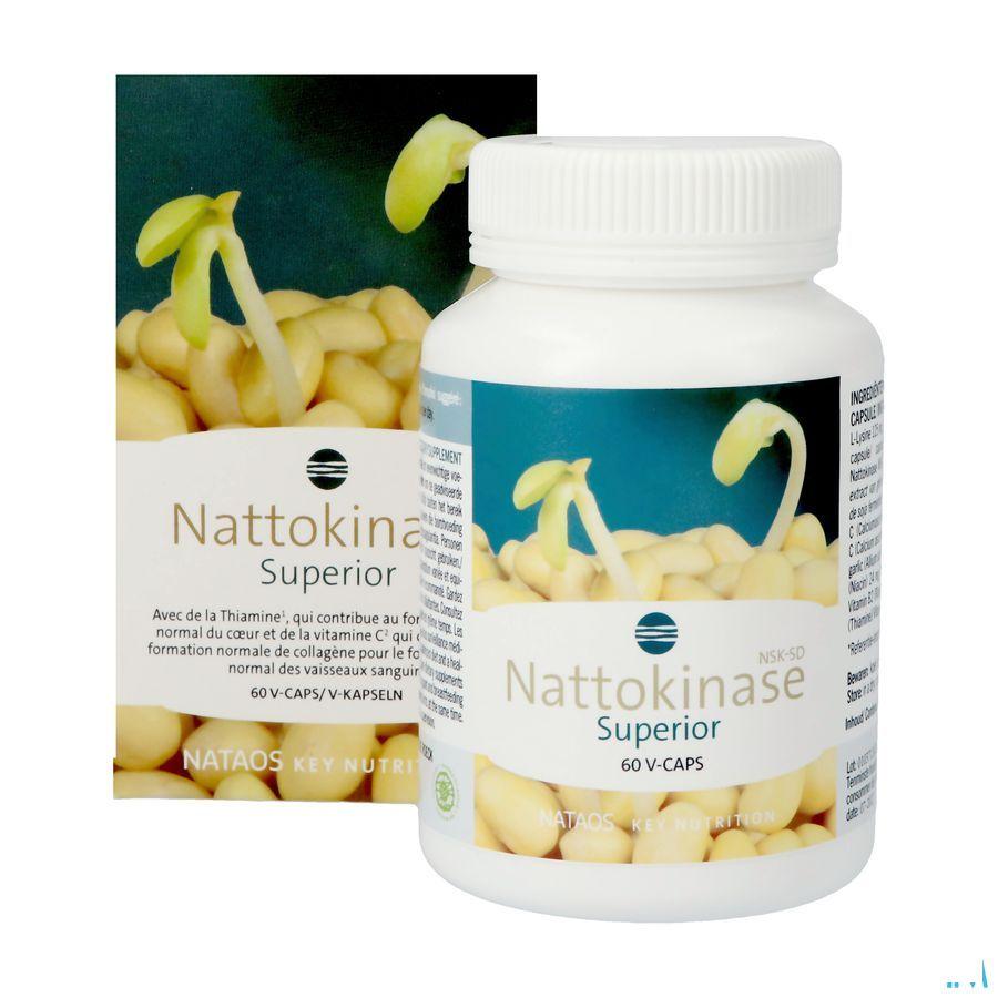 Nattokinase Nsk-Sd Caps 60X100 mg