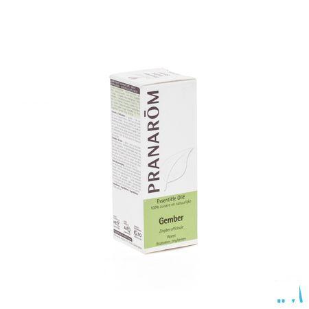 Gember Essentiele Olie 5 ml  -  Pranarom