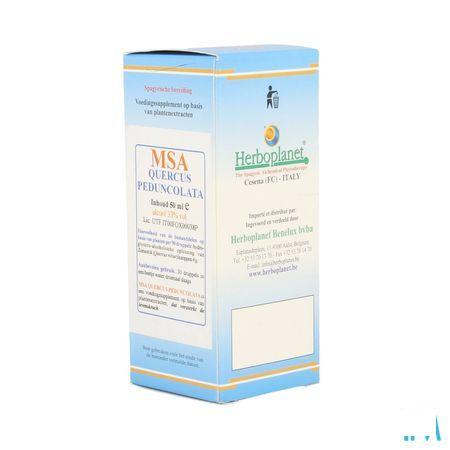 Quercus Peduncolata Msa Maceraat Druppels 50 ml  -  Herboplanet