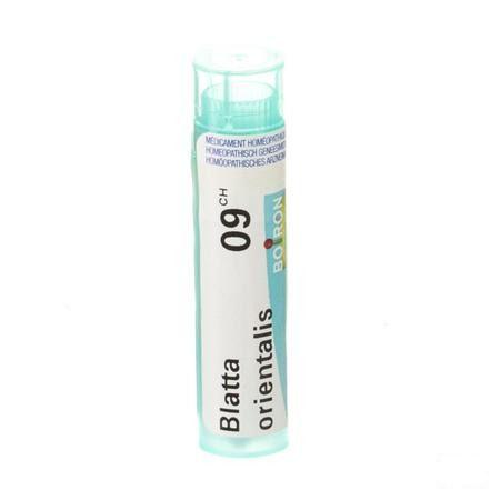 Blatta Orientalis 9CH Gr 4g  -  Boiron