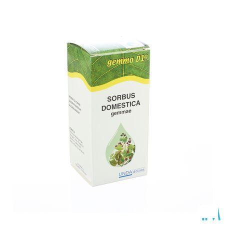 Sorbus Domest. Gemmo D1 125 ml  -  Boiron