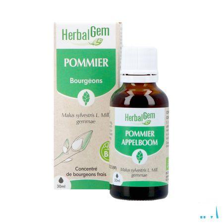 Herbalgem Appelboom Bio 30 ml