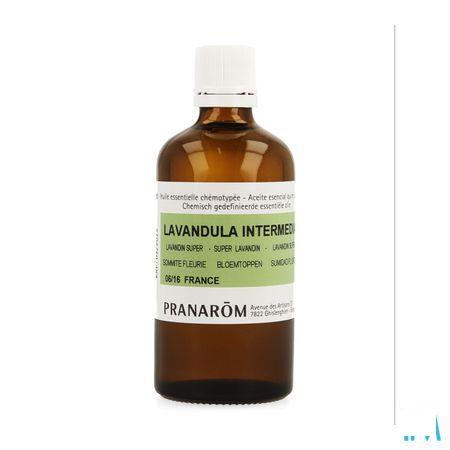 Lavandin Super Essentiele Olie 100 ml  -  Pranarom