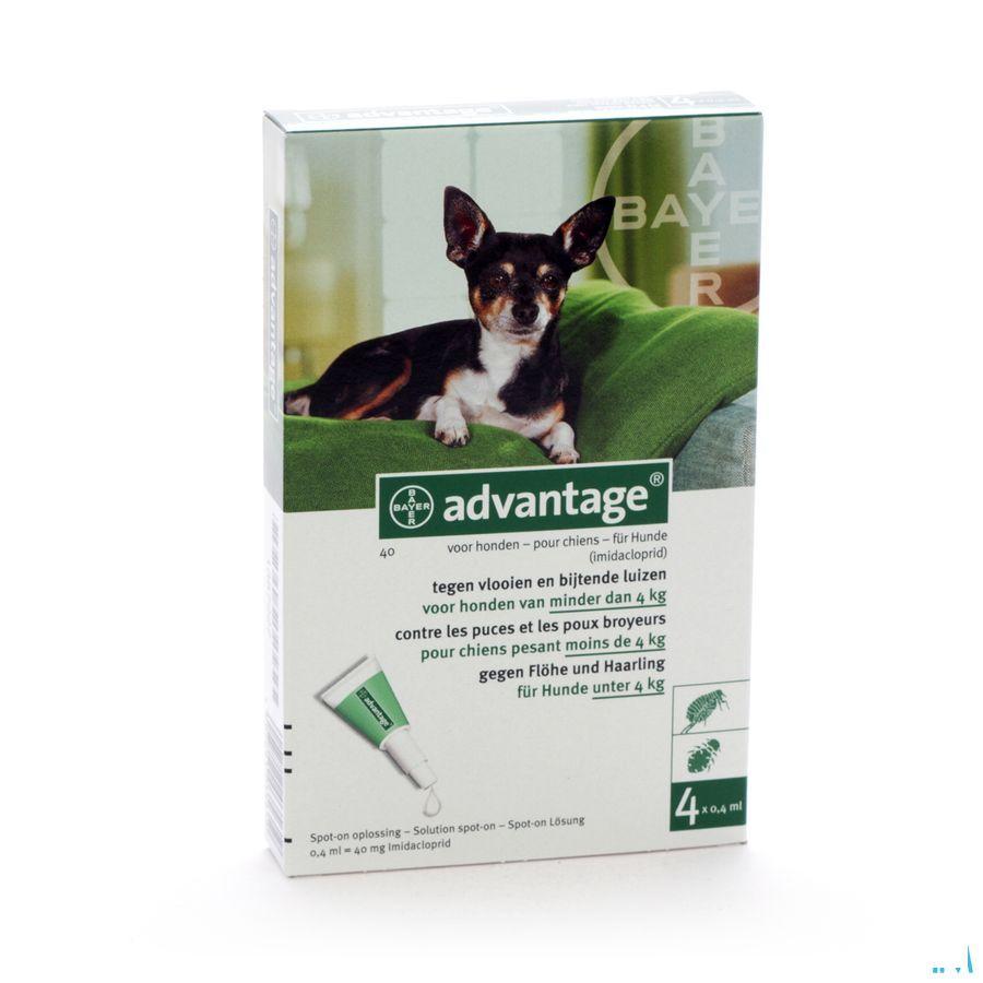 Advantage 40 Chiens 