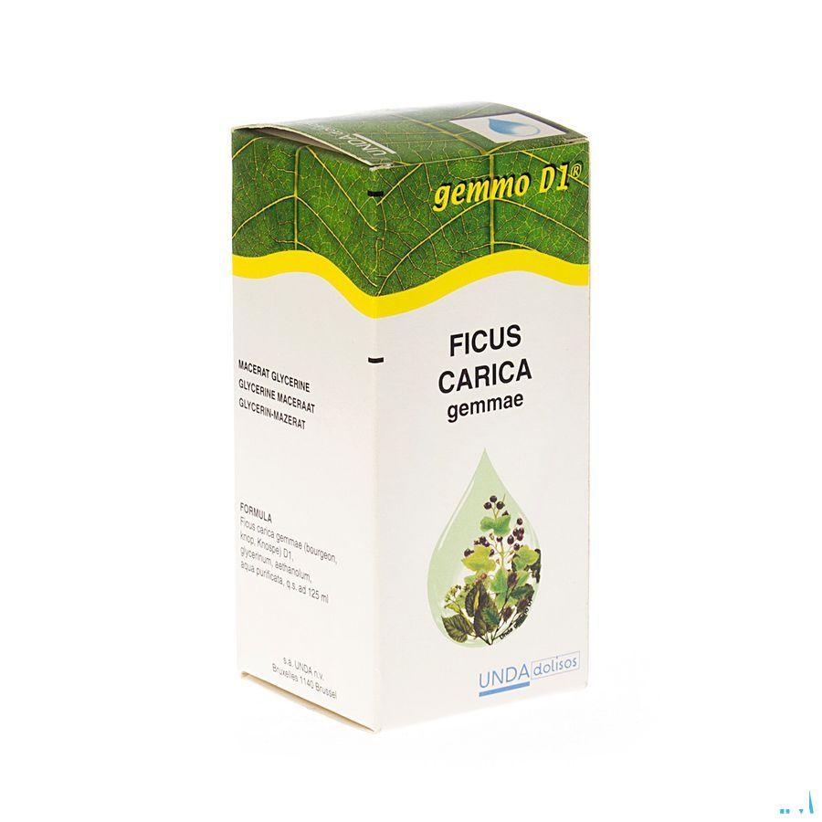 Ficus Carica Gemmo D1 125 ml  -  Boiron