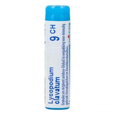 Lycopodium Clavatum 9CH Gl  -  Boiron