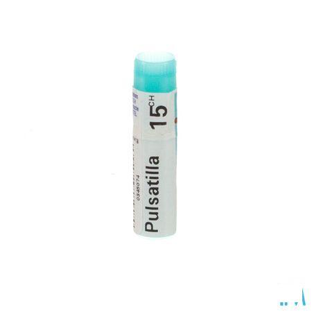 Pulsatilla 15CH Gl  -  Boiron