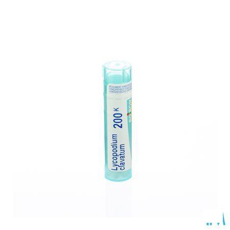 Lycopodium Clavatum 200K Gr 4g  -  Boiron