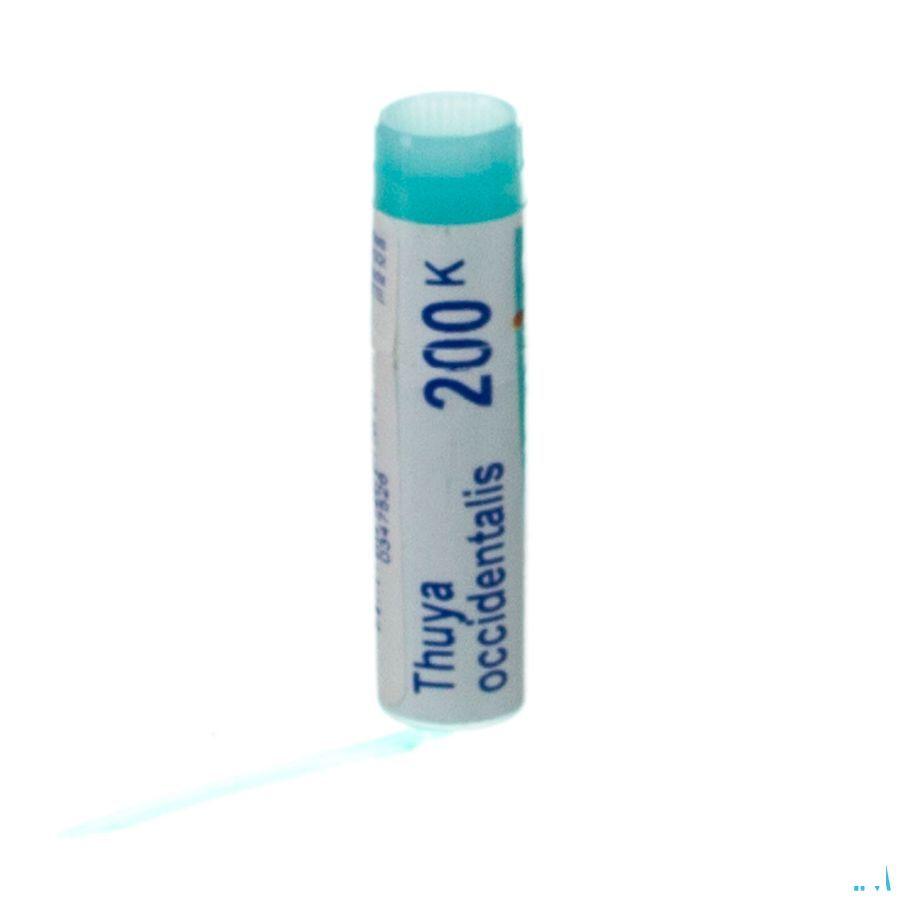 Thuya Occidentalis 200K Gl  -  Boiron