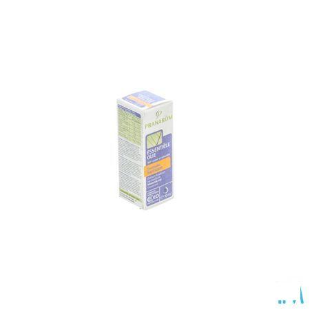 Basilic Exotique Huile Essentielle 10 ml  -  Pranarom