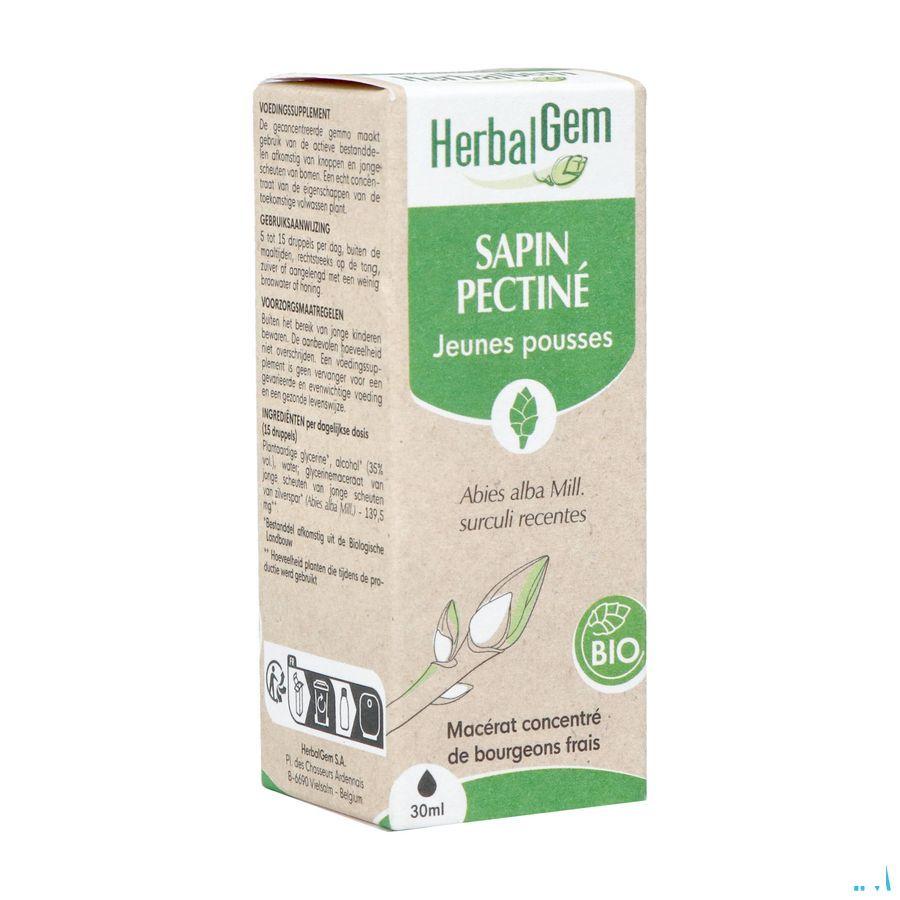 Herbalgem Zilverspar Bio 30 ml