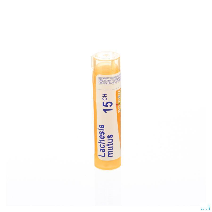 Lachesis Mutus 15CH Gr 4g  -  Boiron