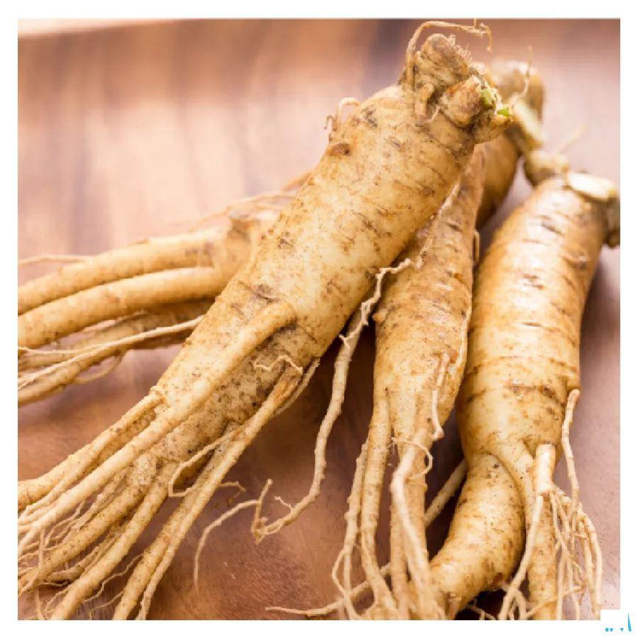 Pana x Ginseng Bio Amp 20 Fitoform