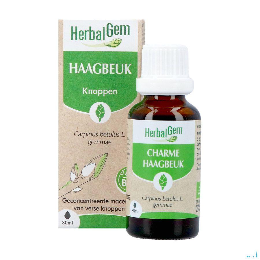 Herbalgem Charme Bio 30 ml