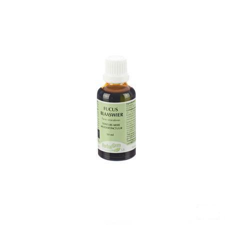 Herbalgem Fucus Vesicul. Tm 50 ml  -  Herbalgem