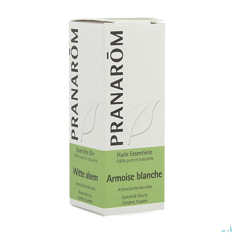 Armoise Blanche Huile Essentielle 10 ml  -  Pranarom