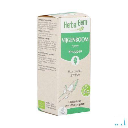 Herbalgem Figuier Bio Spray 15 ml