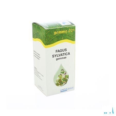 Fagus Sylvatica Gemmo D1 125 ml  -  Boiron