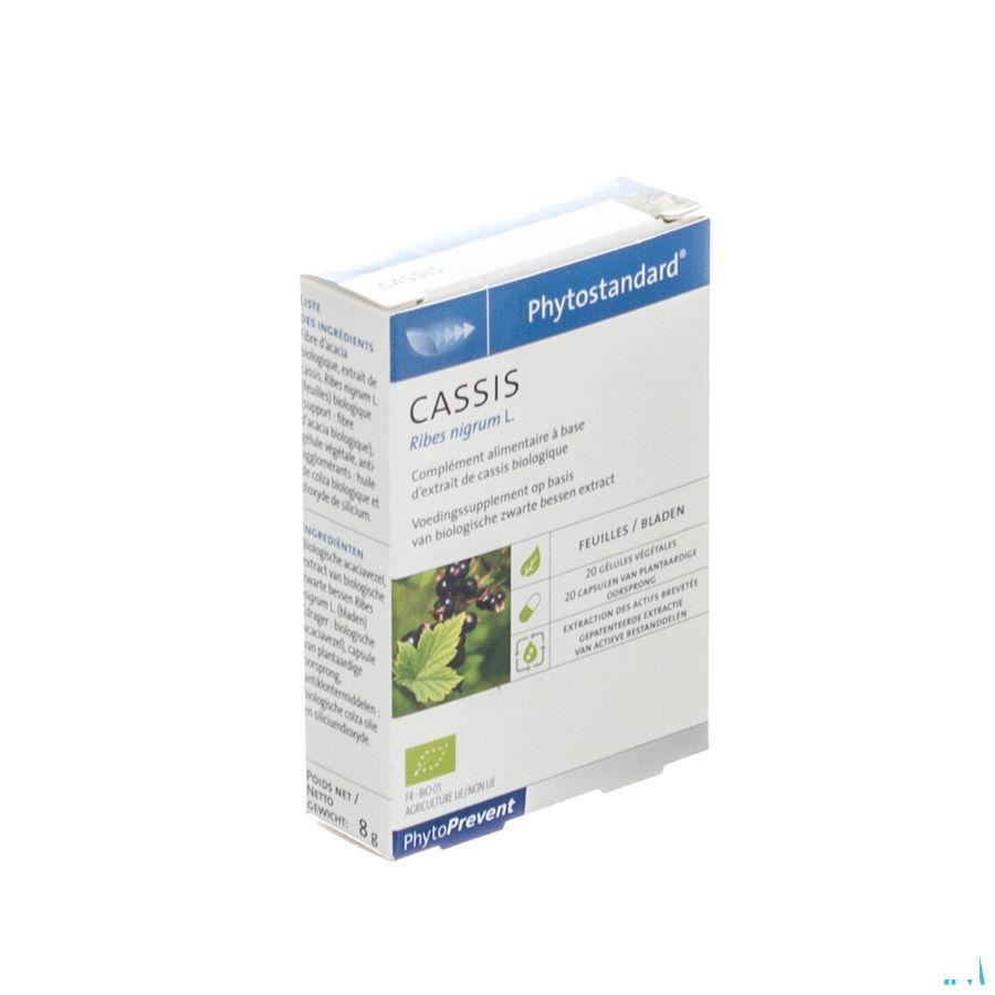 Phytostandard Cassis Capsule 20  -  Pileje