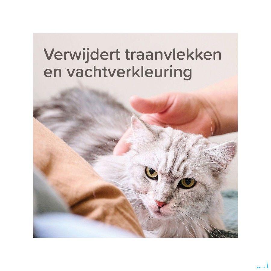 Oftal Traansmeerremmer Collyre 50 ml 11632