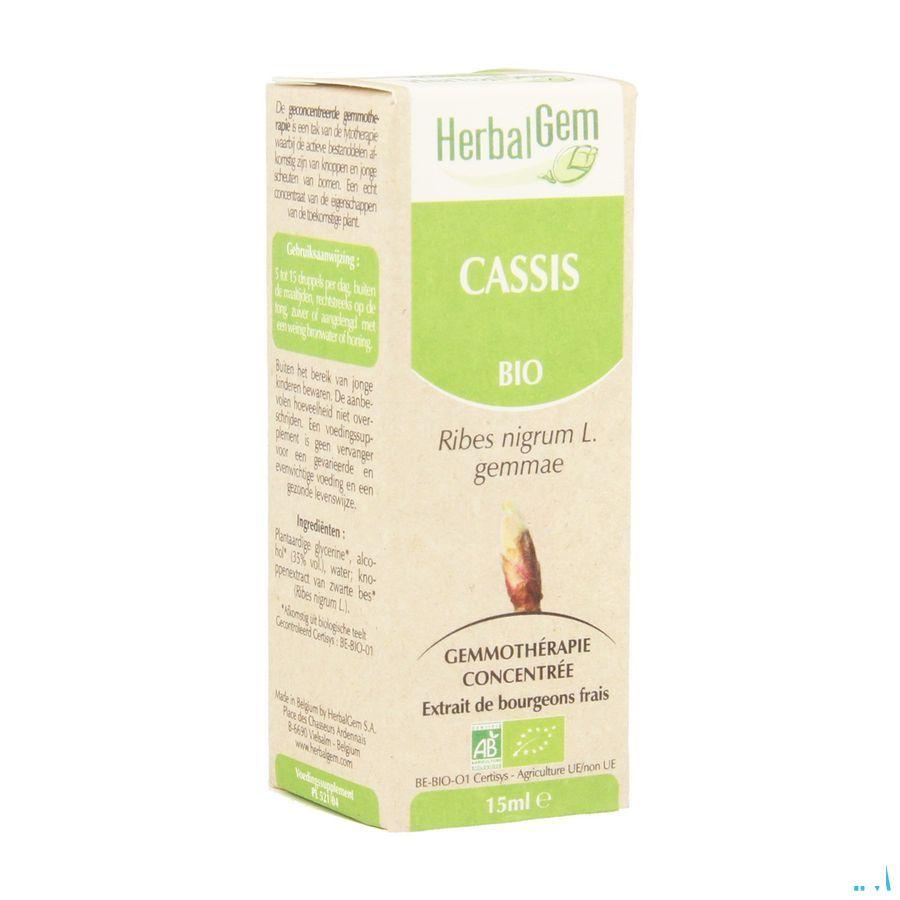 Herbalgem Zwarte Bes Maceraat 15 ml  -  Herbalgem