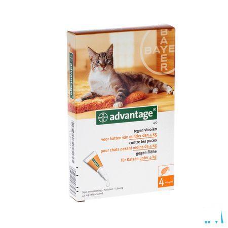 Advantage 40 Chats 