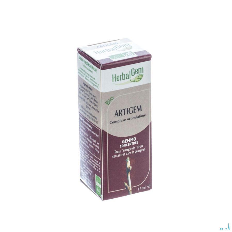 Herbalgem Artigem Complex 15 ml  -  Herbalgem