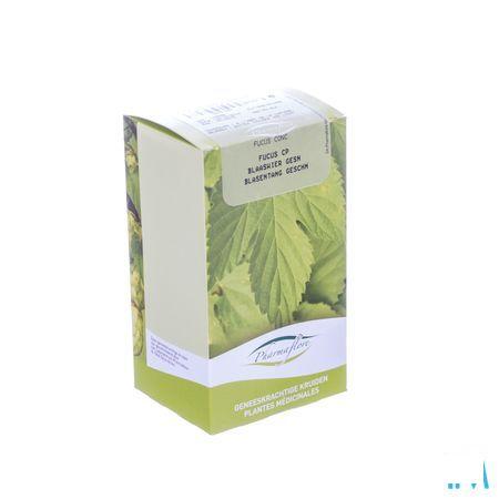 Blaaswier Doos 250 gr  -  Fagron