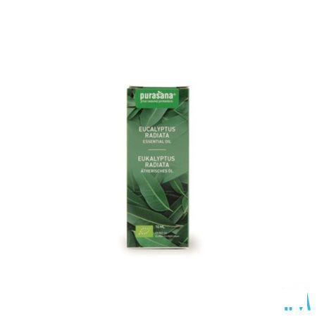 Eucalyptus Radiata 10 ml