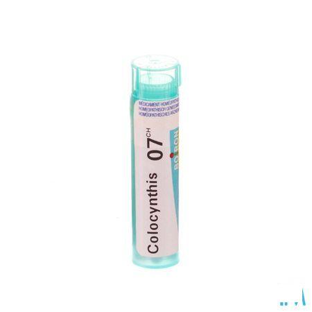 Colocynthis 7CH Gr 4g  -  Boiron