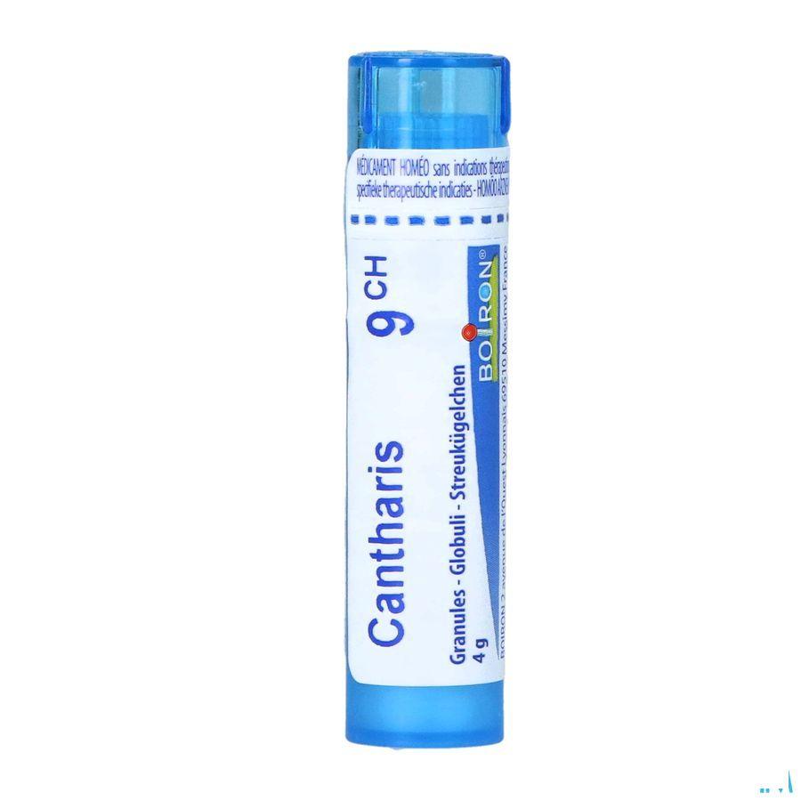 Cantharis 9CH Gr 4g  -  Boiron