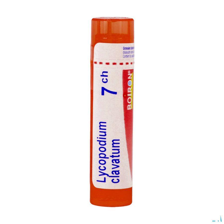 Lycopodium Clavatum 7CH Gr 4g  -  Boiron