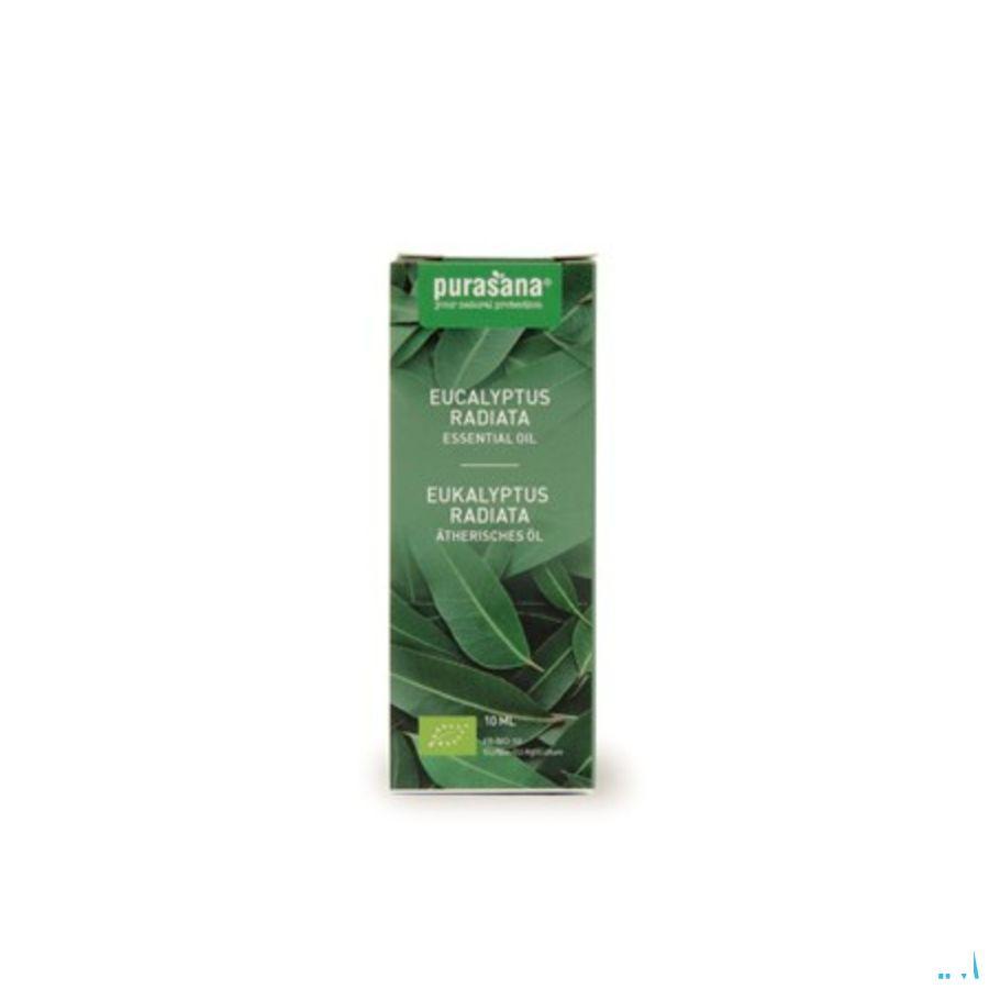 Eucalyptus Radiata 10 ml