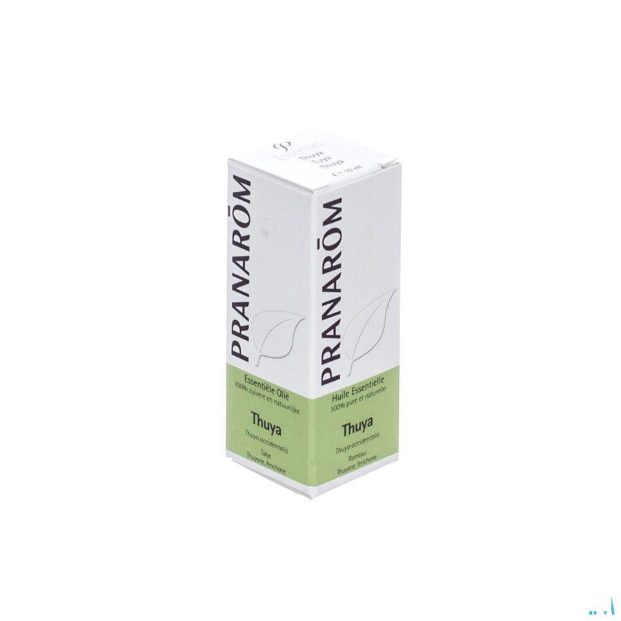 Thuya Huile Essentielle 10 ml  -  Pranarom