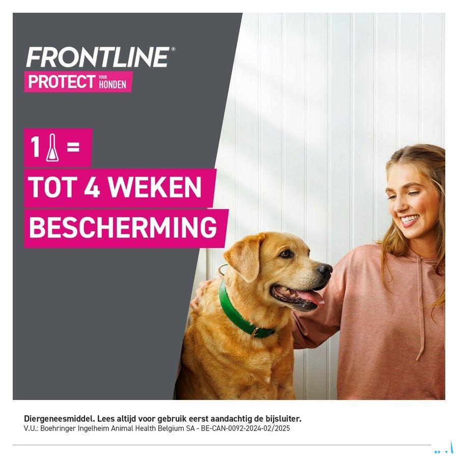 Frontline Protect Spot On Opl Hond 5-10Kg Pipet 3