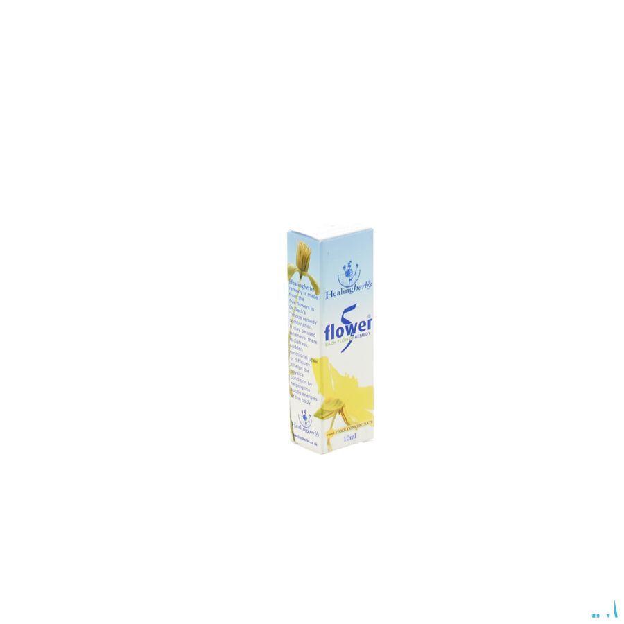 Healing Herbs 5 Flow remedy 10 ml