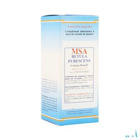 Betula Pubescens Msa Maceraat Druppels 50 ml  -  Herboplanet