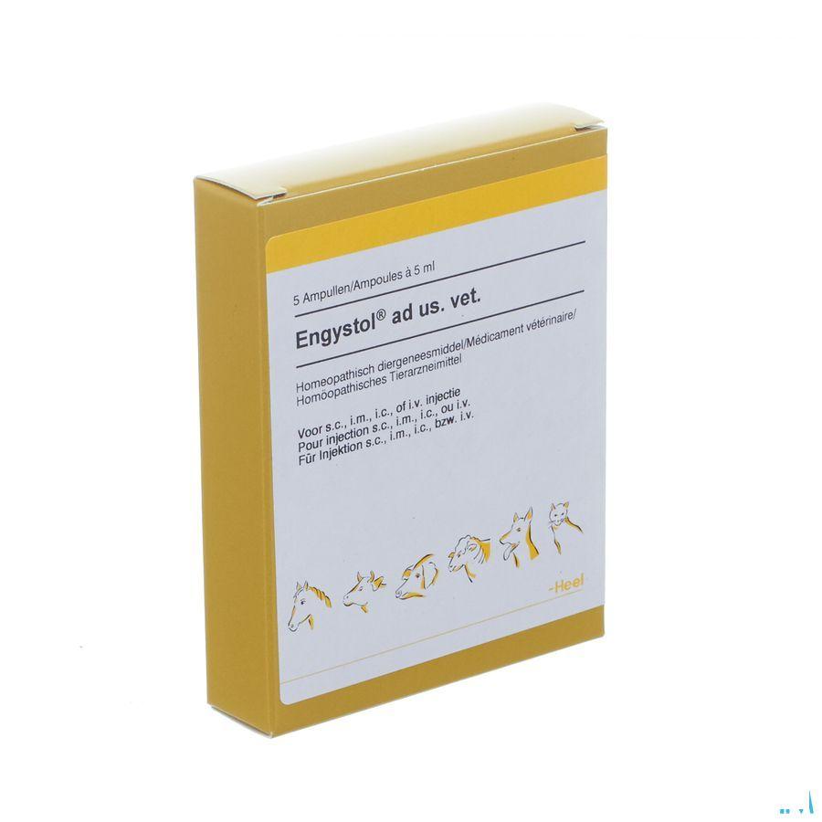 Engystol N Ad Us.Vet Amp 5X5,0 ml