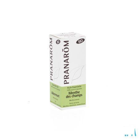 Munt Bio Essentiele Olie 10 ml  -  Pranarom