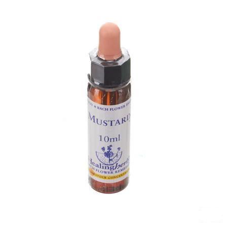 Healing Herbs Mustard 10 ml