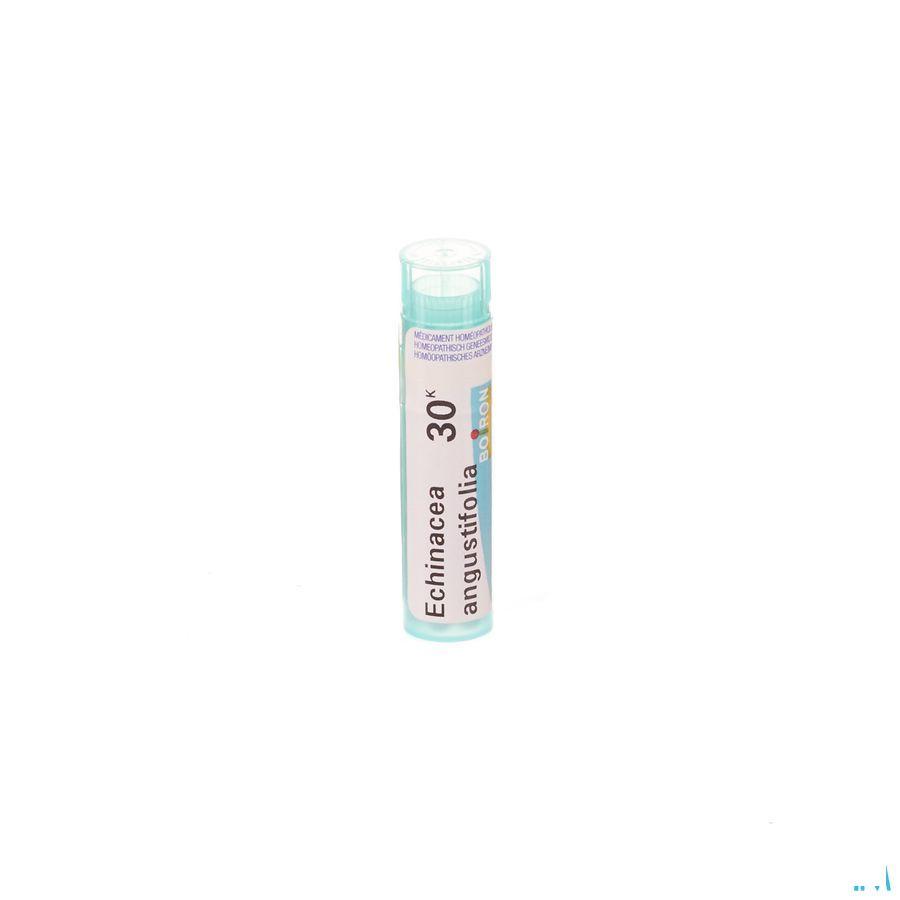 Echinacea Angustifolia 30K Gr 4g  -  Boiron