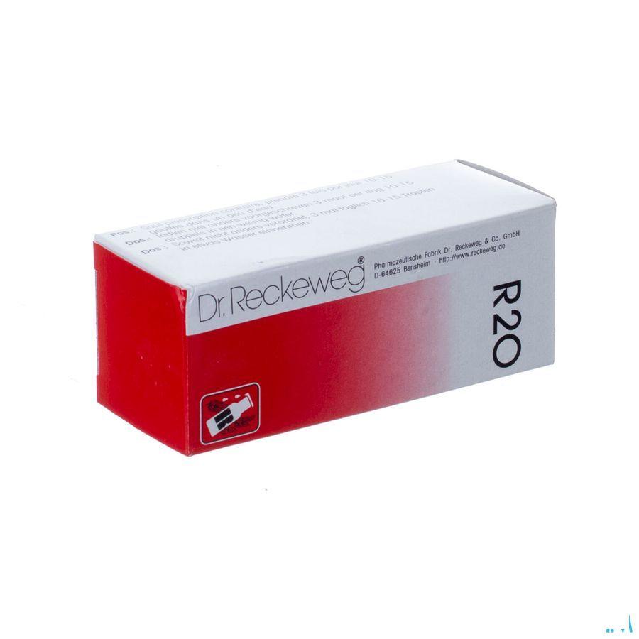 Reckeweg Dr. R20 Druppels 50 ml  -  Nut-Hom-Phyt