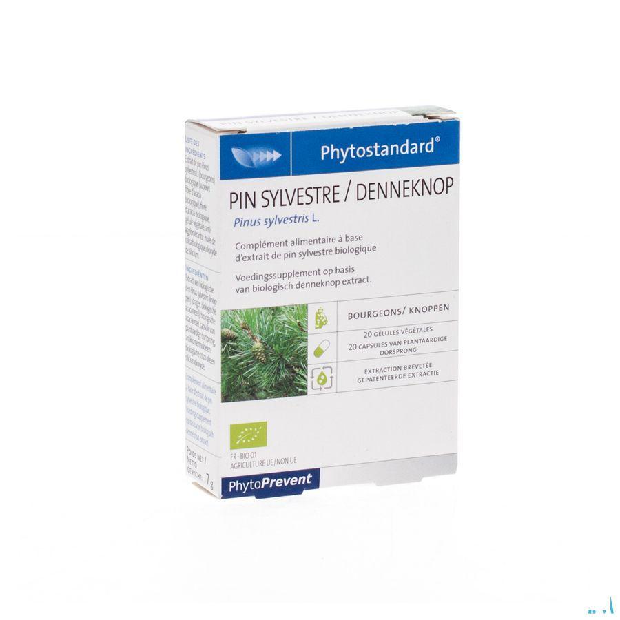 Phytostandard Pin Sylvestre Capsule 20  -  Pileje