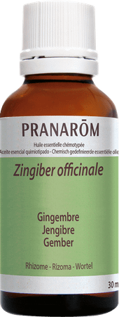 Gember Essentiele Olie 30 ml  -  Pranarom